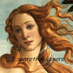 I Segreti Di Venere S.R.L.