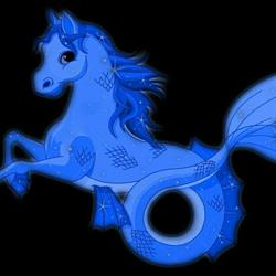 Il Cavalluccio Blu