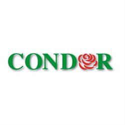 CONDOR