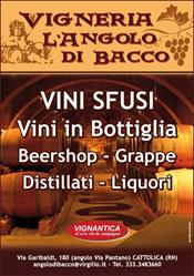 Vigneria l'angolo di Bacco