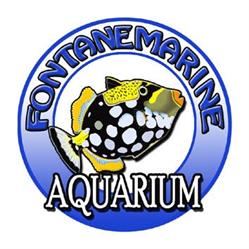 Fontanemarine Aquarium
