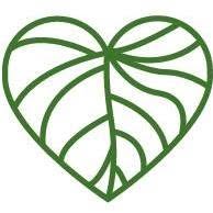 Beauty Green