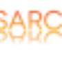 toprisarcimenti logo