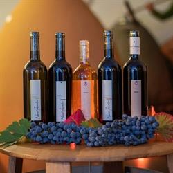 Marcel Zanolari Casa Vinicola la Torre