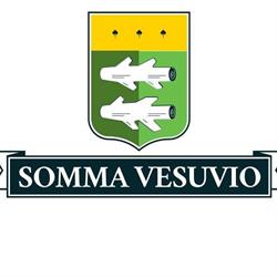 Bed and breakfast Sommavesuvio