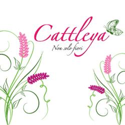 Cattleya di Indelicato Alessandra & C. s.a.s.