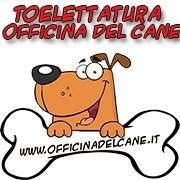 Toelettatura Officina del cane