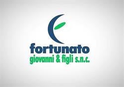 FORTUNATO GIOVANNI & FIGLI SNC