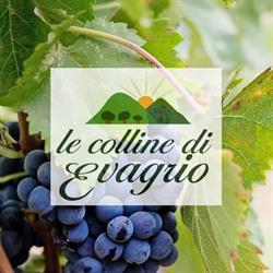 Le Colline di Evagrio