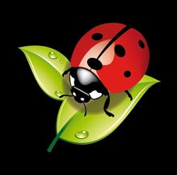 La Frutteria srl