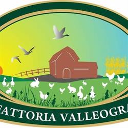 Fattoria Valleogra