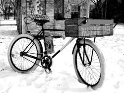 Passione Bici