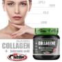 Gallery Professionale