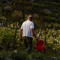 Azienda agricola Isiya