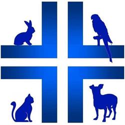 CLINICA VETERINARIA VIALE FUSINATO