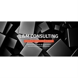 L&M Consulting