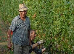 Generaj - Azienda Agricola