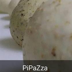 Pipazza Pratza Food