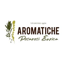 Aromatiche Pesaresi Enrica