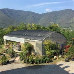Azienda Agricola El Vivero