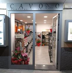 Cavolo Beautiful Shoes