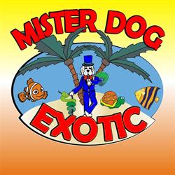 Mister Dog Exotic