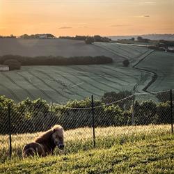 Country House La Cilicchia