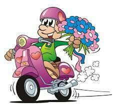 La Baita Del Fiore Snc