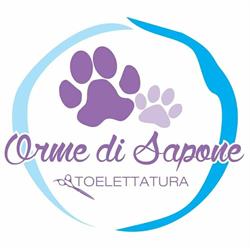 Orme di Sapone Di Cimatti Alice