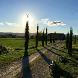Tenuta La Santissima