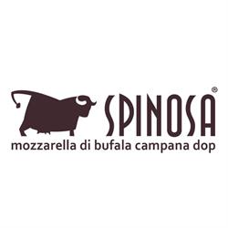 Spinosa Spa