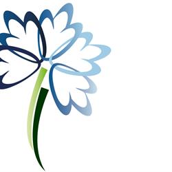 Essenza dei fiori f