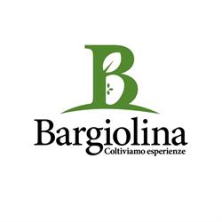 Bargiolina