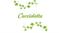 Cucciolotta By It Design Srl
