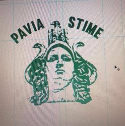 Pavia Stime Srl