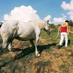 Fattoria di Selvoli - farine biologiche macinate a pietra e pane cotto a legna con lievito madre