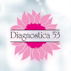 Diagnostica 53