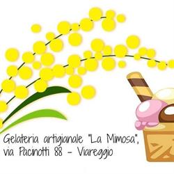 Gelateria "La Mimosa"