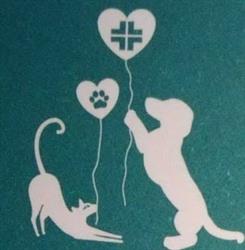 Ambulatorio Veterinario San Lorenzo