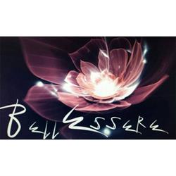 Bellessere di Anna Falcone