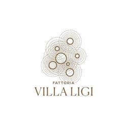 Fattoria Villa Ligi