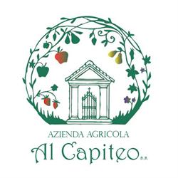 Azienda Agricola Al Capiteo
