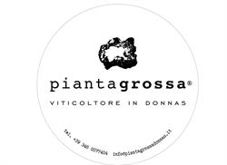 Azienda Agricola Pianta Grossa di Luciano Zoppo Ronzero