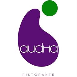 Audha Srl