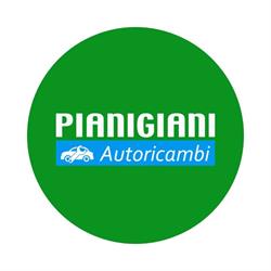 Pianigiani Rottami S.r.l.