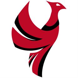 Fenix S.r.l.