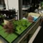 Gallery Professionale