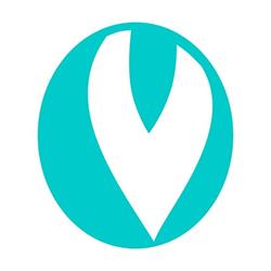 Visualsoft