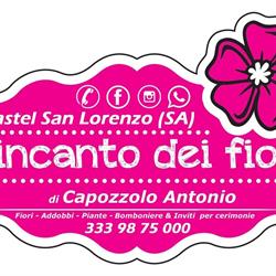 L'incanto dei fiori di Capozzolo Antonio