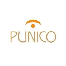 Punico Liquori s.r.l.